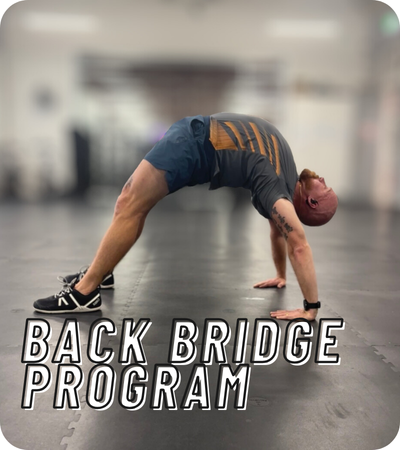 Back Bridge Program
