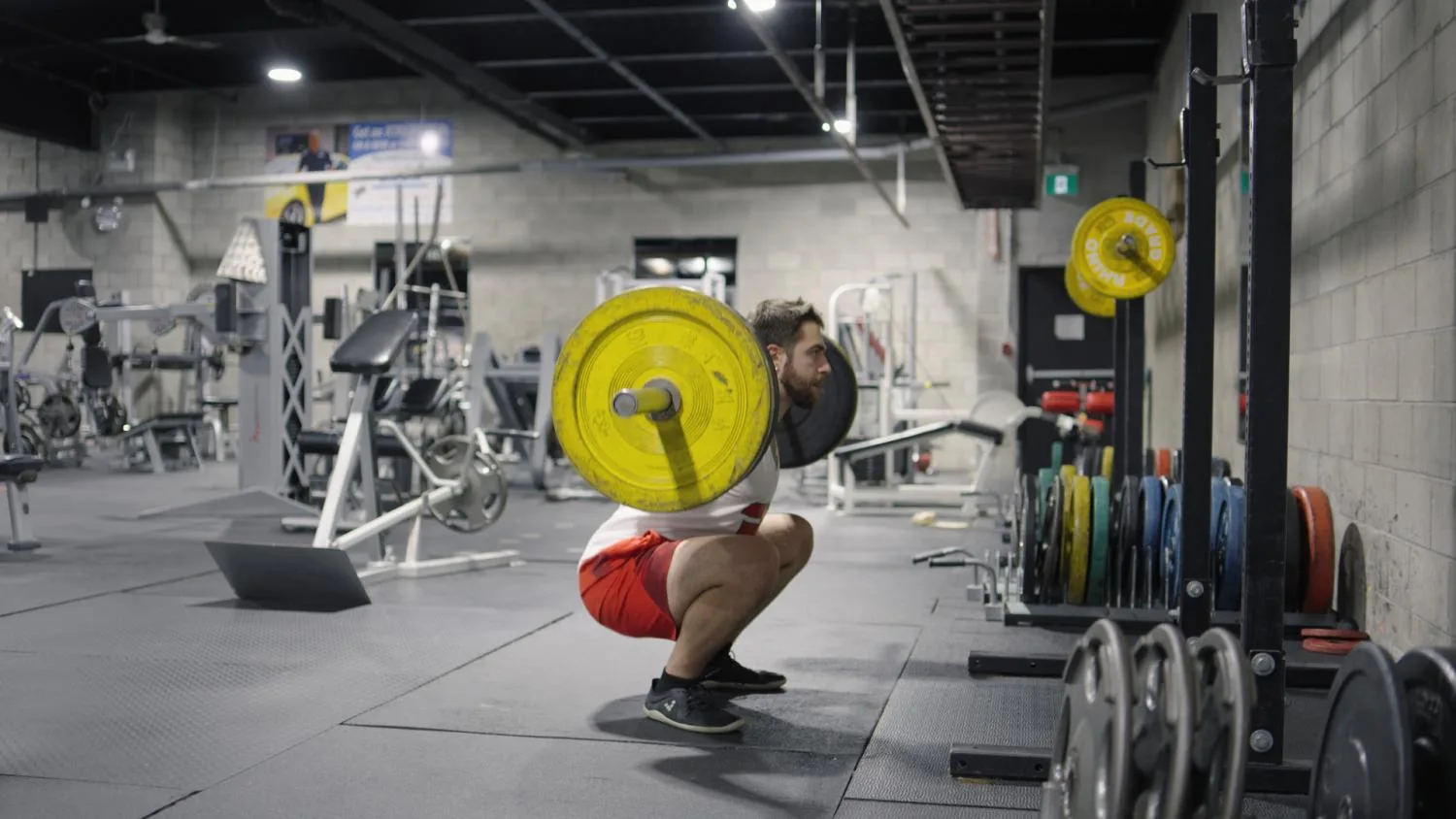 Barbell Back Squat