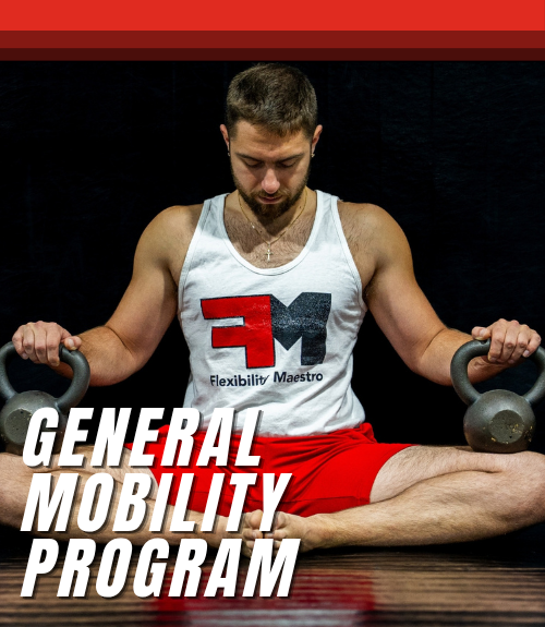 General Mobility Program Feature Image