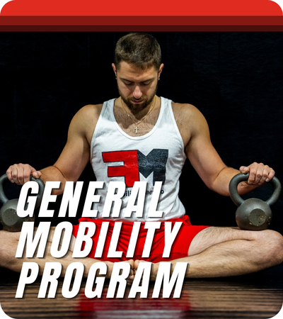 The General Mobility Program program selector